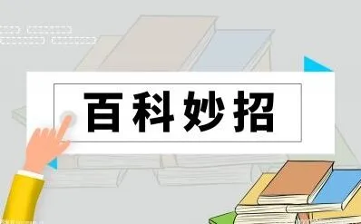 torrentkitty怎么用的操作详解