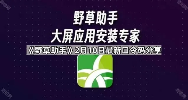 《野草助手》2月10日最新口令码分享操作详解
