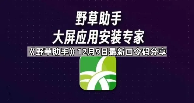 TA 12月9日最新口令码分享操作教程