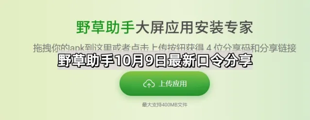 野草助手口令分享使用技巧