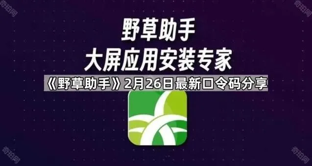 《TA》2月26日最新口令码分享步骤