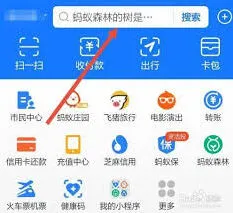 ios支付宝查看健康码URL代码步骤指南