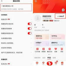 全民K歌隐私保护设置完整指南