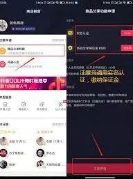 抖音商品橱窗审核超时加急处理完整教程