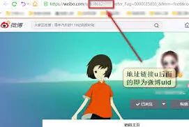 微博其他用户