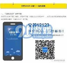 交管12123平台操作方法指南