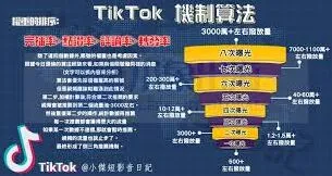 《抖音》获取流量操作指南