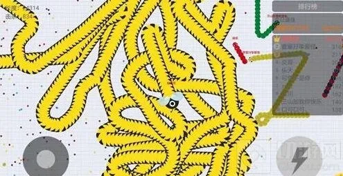 《贪吃蛇大作战》2万分战绩截图分享