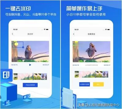 抖音作品下载完整指南