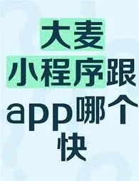 大麦抢票