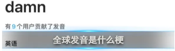 《网易有道词典》全球发音梗出处说明