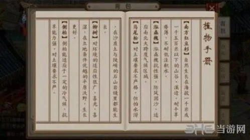 问道马尾松种植位置全流程指南