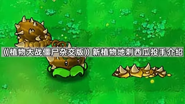 地刺西瓜投手技能详解，杂交版新植物教学