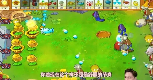 植物大战僵尸杂交