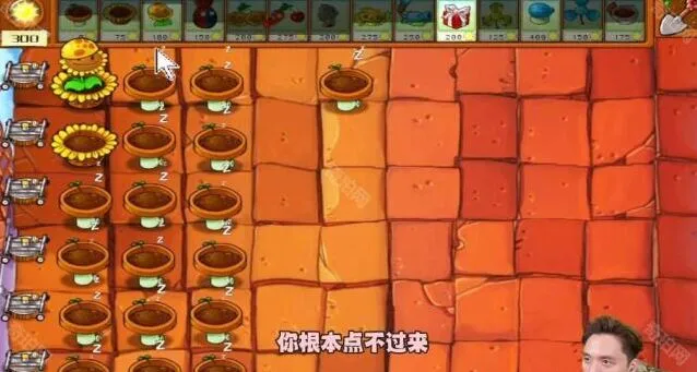 植物大战僵尸杂交