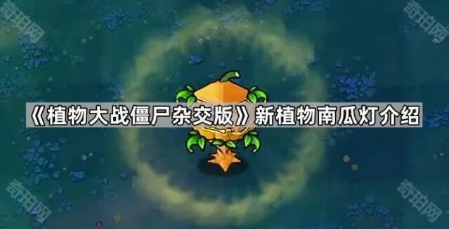 《植物大战僵尸》新植物南瓜灯完全攻略