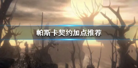 帕斯卡契约加点推荐 前期后期加点思路