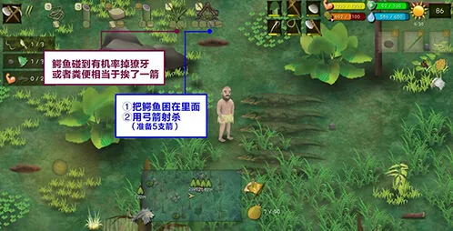 挨饿荒野沼泽丛林鳄鱼捕捉全解