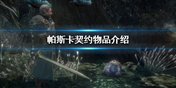 帕斯卡契约物品介绍 道具详解