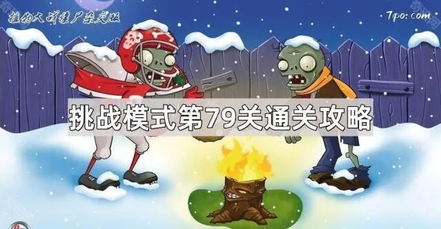 植物大战僵尸杂交版第79关完美通关攻略