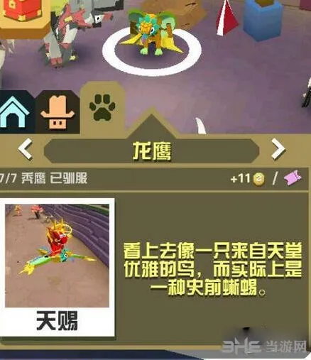 疯狂动物园龙鹰捕捉教程详解
