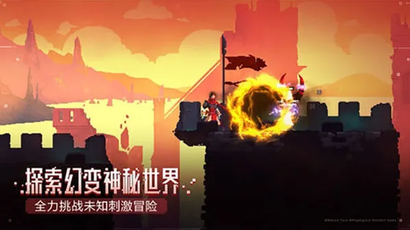 《庇护所》二细胞通关方法