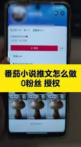 番茄小说如何投稿