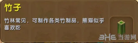 一路熊猫食物介绍 全面解读