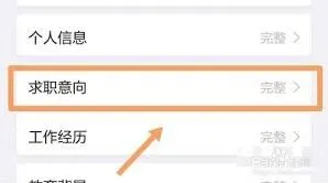 智联招聘状态