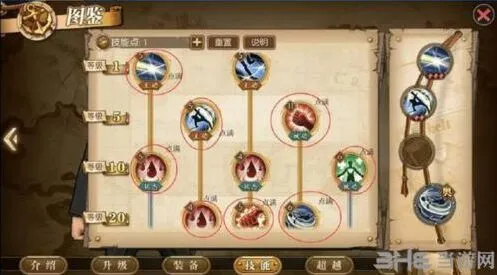 航海王燃烧意志卡古加点和培养方案
