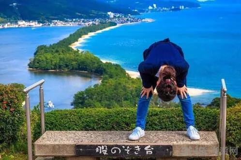 旅行青蛙图鉴