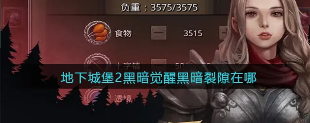 地下城堡2:黑暗觉醒裂隙