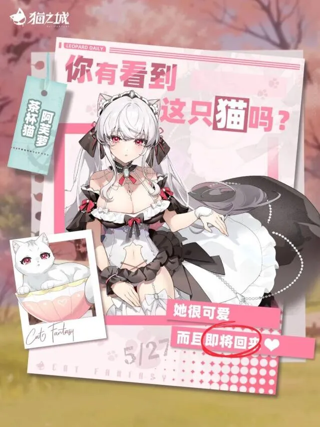 《猫之城》茶杯猫召唤活动指南