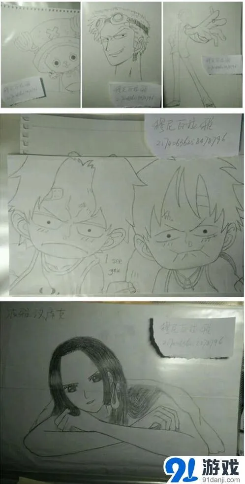航海王获奖作品