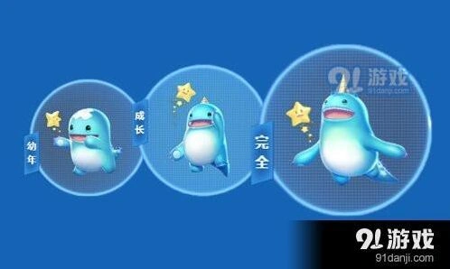 QQ飞车手游雪域狮王小萌龙对比指南