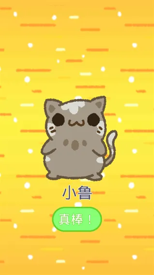 小偷猫2金币