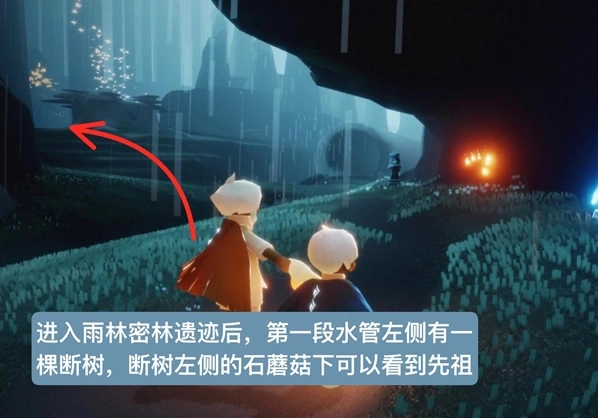 光遇雨林磕头先祖详细位置