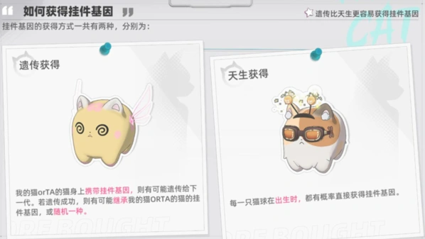 猫之城基因挂件解锁方法详解
