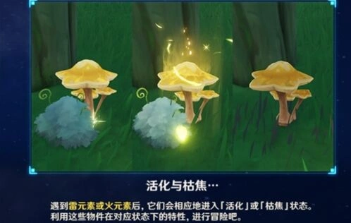 原神详解：枯萎的星蕈获取