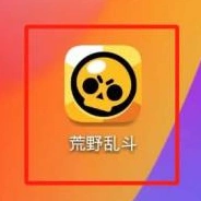 荒野乱斗观战流程全面解析