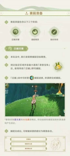 原神蕈兽怎么打 抓捕全攻略
