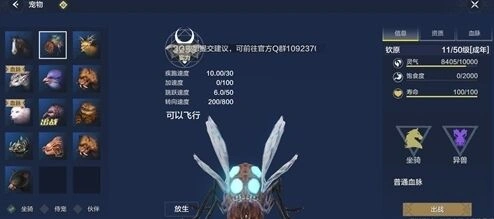 妄想山海新手坐骑推荐攻略大全
