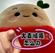 《大麦》被盾解除完整教程指南