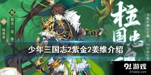 少年三国志2紫金姜维玩法攻略