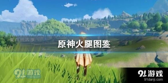 原神火腿用途大全