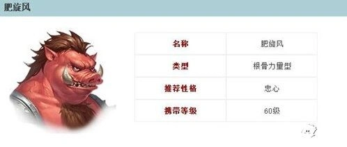 《倩女幽魂》肥旋风值得培养吗