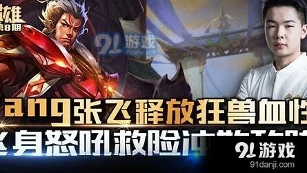 职业选手Yang张飞教学攻略