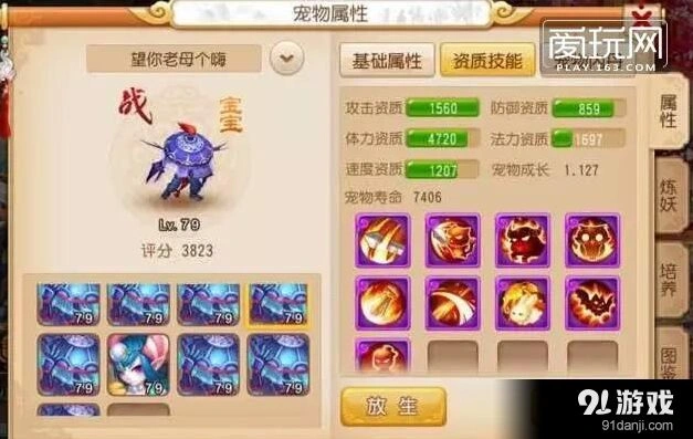 梦幻西游手游顶级宠物大乱斗