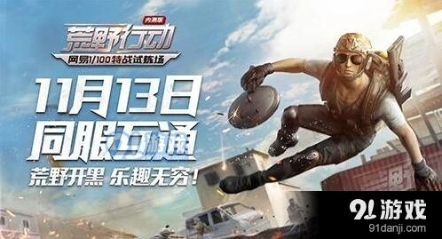 荒野行动子弹攻略：武器搭配详解
