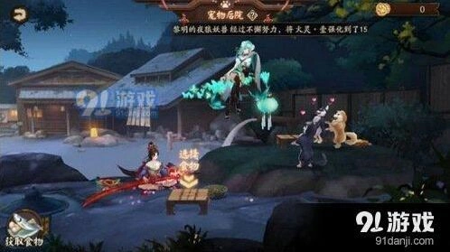 阴阳师新宠物吸引攻略 宠物粮食获取指南